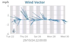 Wind Vector