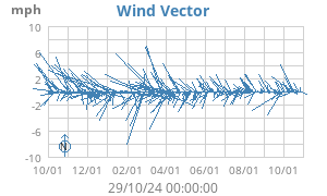 Wind Vector